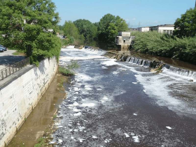 Morìa di pesci nel fiume Sacco: presto i risultati dopo i campionamenti di Arpa Lazio