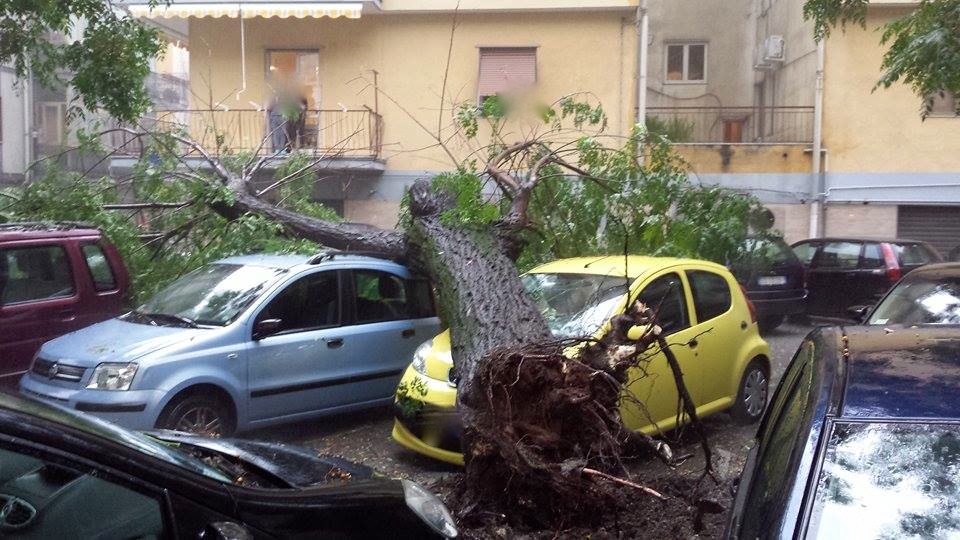 Roma maltempo cade albero pm indaga