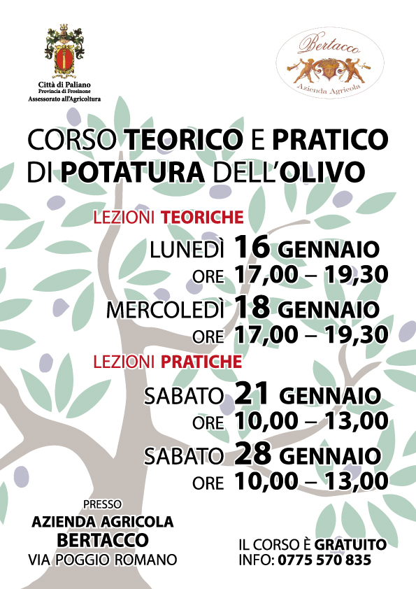 Paliano, corso di potatura dell'olivo: al via la seconda edizione gratuita