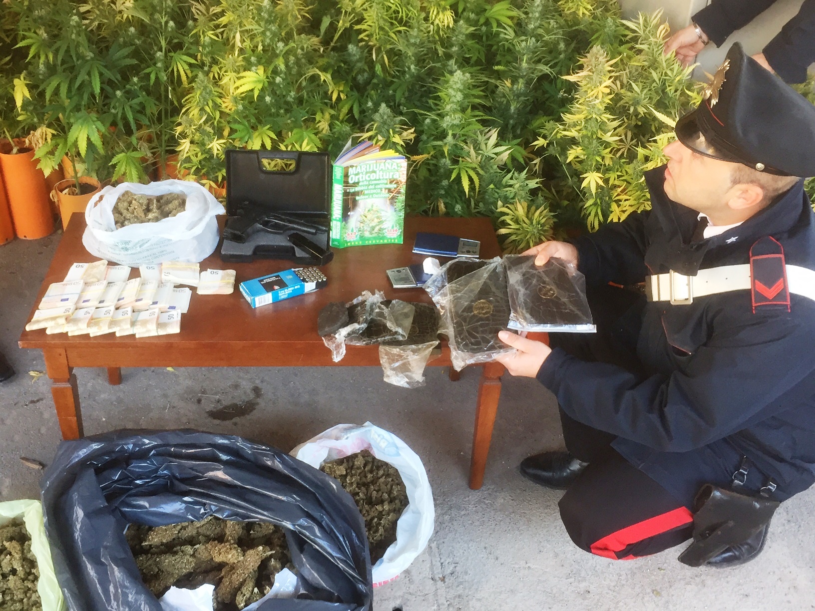 Cassia, carabinieri intervengono dopo l'allarme di furto ma scoprono una piantagione di marijuana