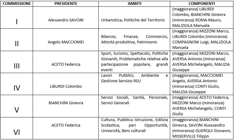 ceccano commissioni consiliari permanenti