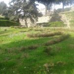 Roma, rinvenute e rimosse siringhe a Villa Doria Pamphilj