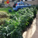 Albano Laziale, coltivava marijuana in giardino: arrestato 50enne di Marino