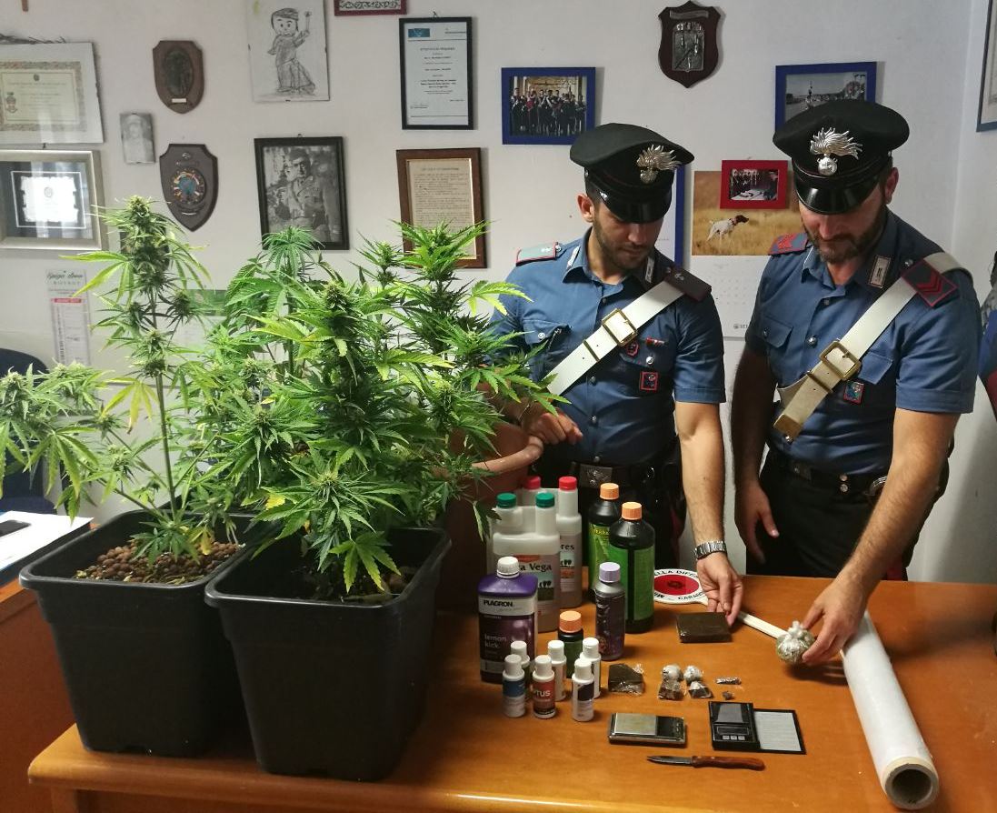 Ladispoli: i Carabinieri arrestano incensurato con hashish e piante di marijuana