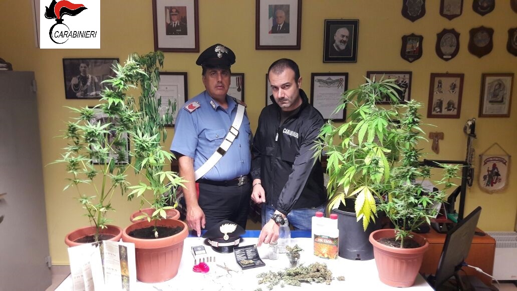 40enne sorano riforniva di marijuana i giovani di Cassino e della Val di Comino: arrestato