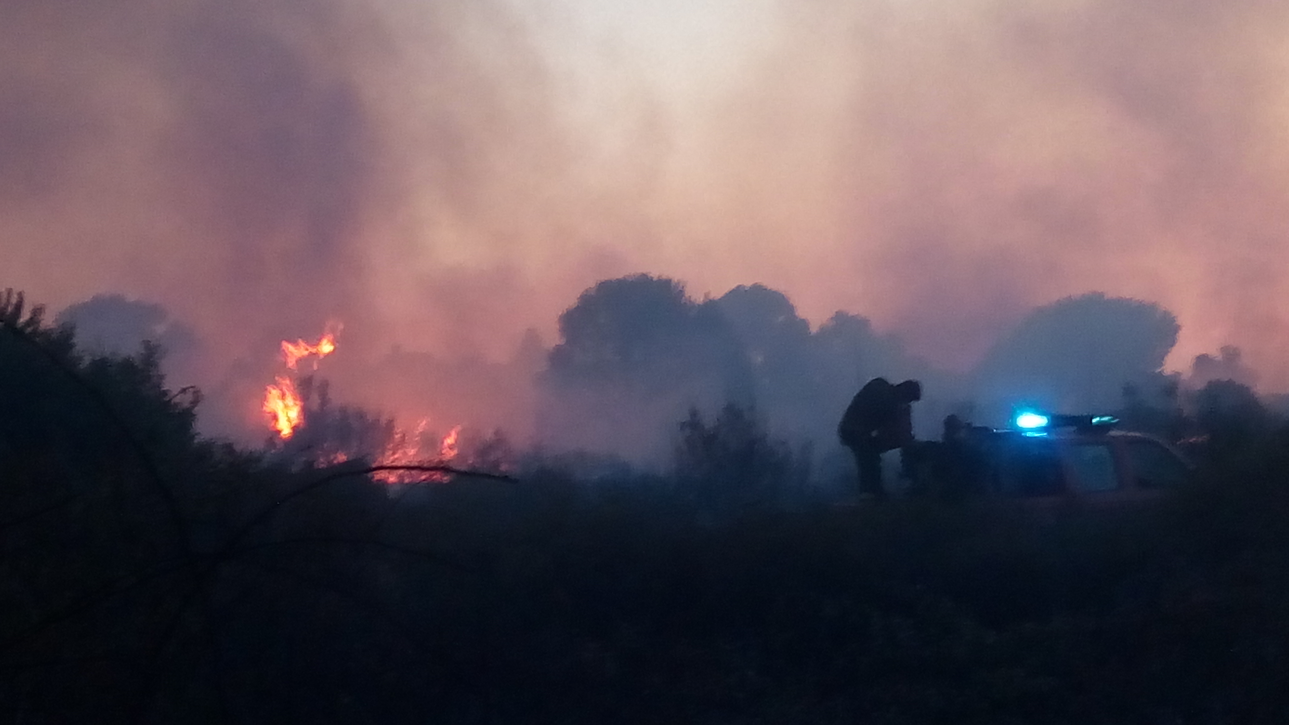 Incendi a Fiumicino, Montino: "Appello a capo dipartimento Vigili del Fuoco Frattasi per presidio territoriale"