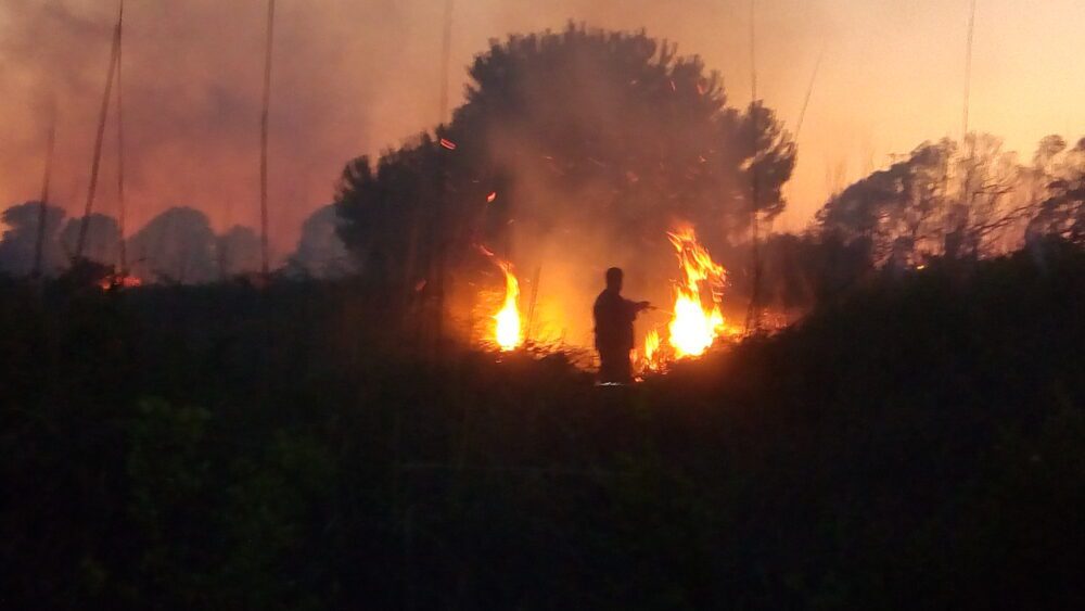 Roma-Fiumicino, incendio in complanare: lunghe code e traffico in tilt sull'immissione dalla A91 al GRA