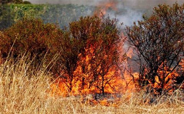 Alvito, 20enne di Casalvieri appicca un incendio all'ex azienda Cava S. Maria: colto in flagrante