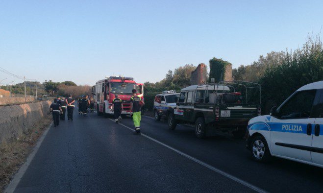 Nemi, incidente in via dei Laghi: auto impatta contro tre mucche