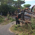 Roma e provincia, alberi caduti in strada feriscono le persone a causa del forte vento