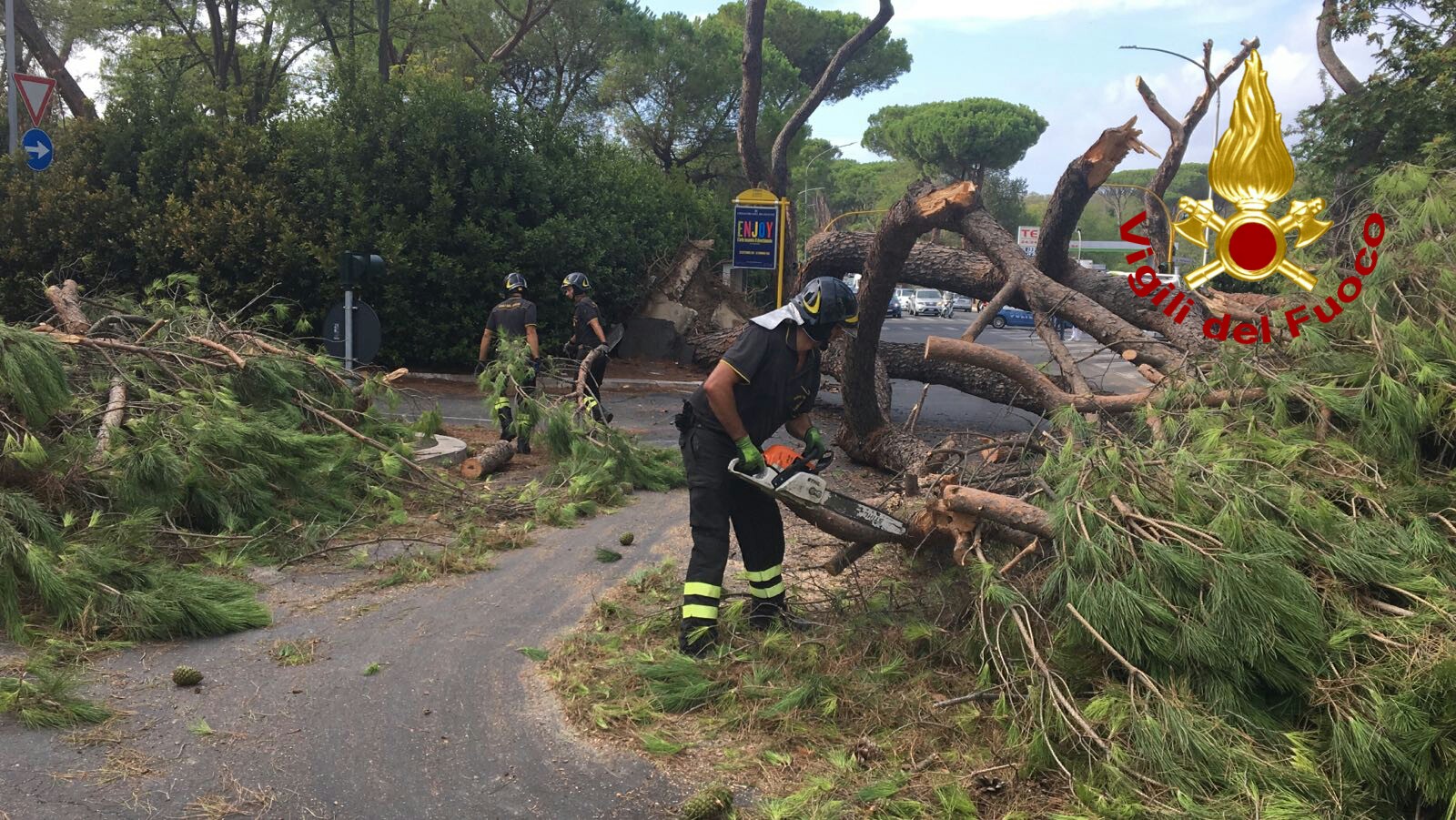 Roma e provincia, alberi caduti in strada feriscono le persone a causa del forte vento