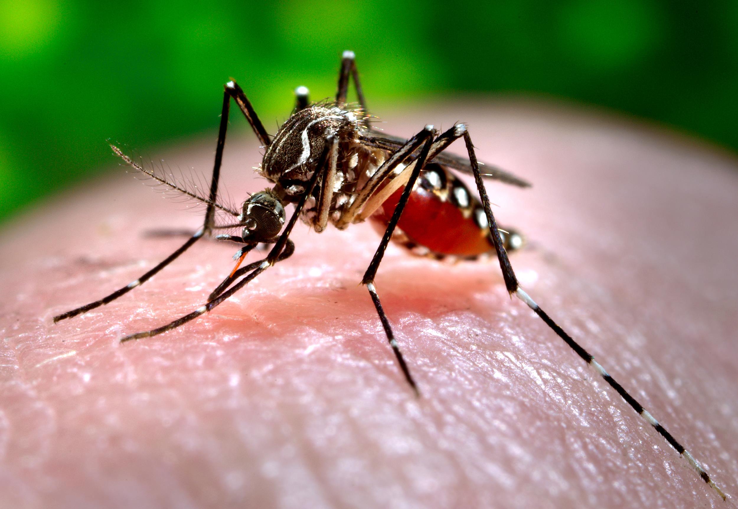 repellente zanzare muore bimba 1 anno