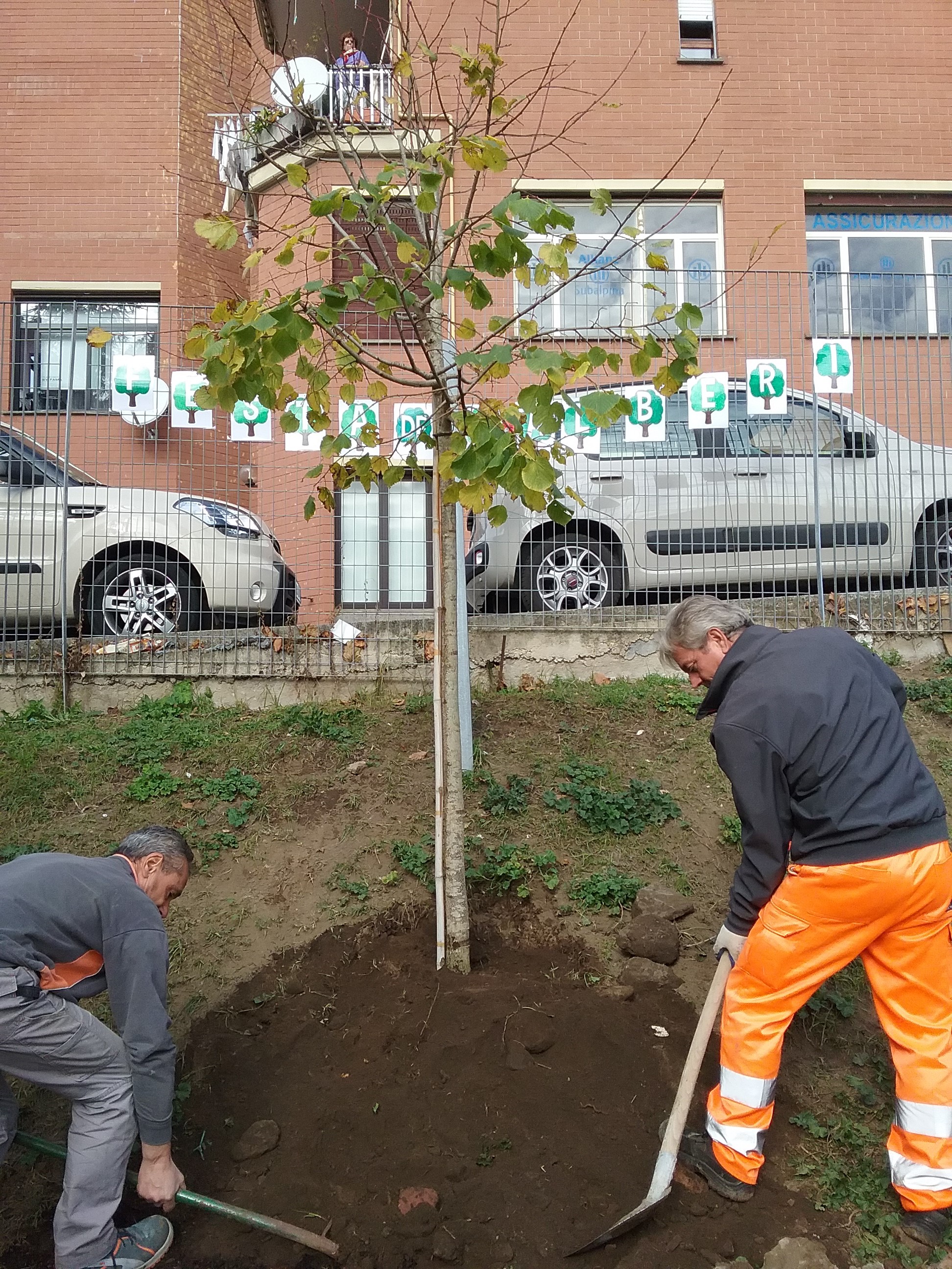 Albano Laziale, Giornata Nazionale degli Alberi: piantato un leccio in Via Rossini in memoria del piccolo Emanuele Manzetti