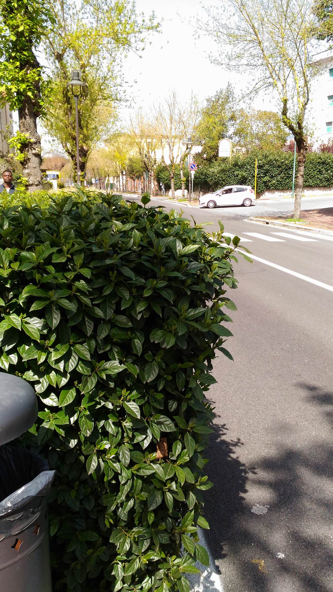 Colleferro, Francesco Vitelli segnala una problematica su Corso Garibaldi e l'indifferenza dell'Amministrazione