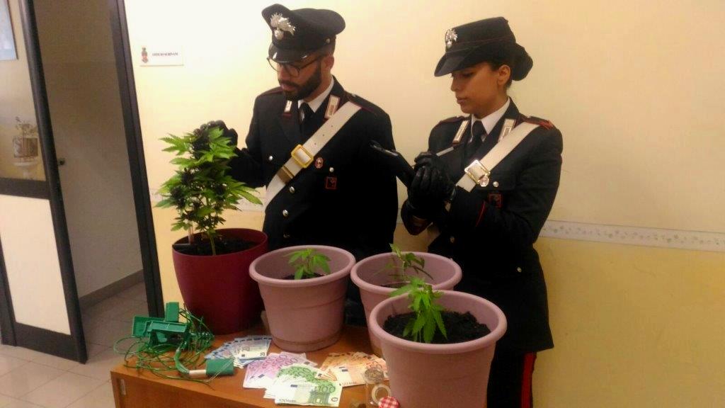 Tor De Cenci, coltiva marijuana sul terrazzo: 44enne arrestato in via Odone Belluzzi