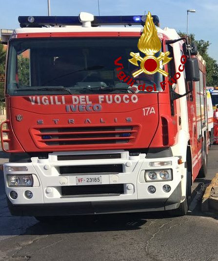 lungotevere tor di nona crollano rami feriti e auto danneggiate oggi