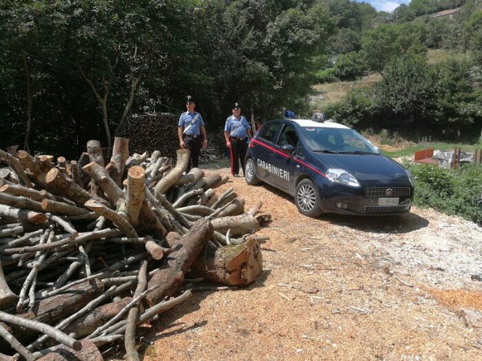 San Vittore del Lazio, ruba 100 quintali di legna: denunciato (FOTO)