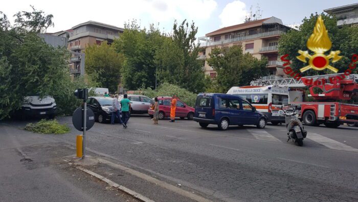 Nomentano, albero cade su via Rodolfo Lanciani: coinvolte auto con persone all'interno