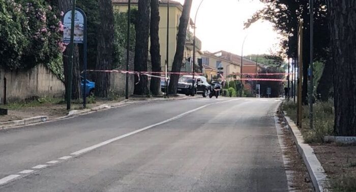 Colleferro, ramo pericolante su via Latina: chiuso un tratto di strada