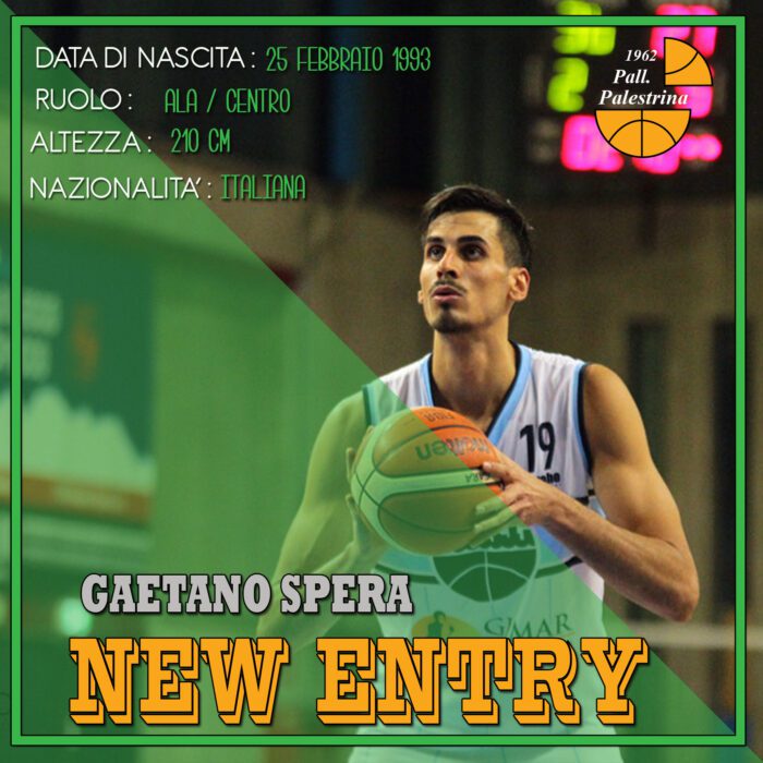 pallacanestro palestrina spera