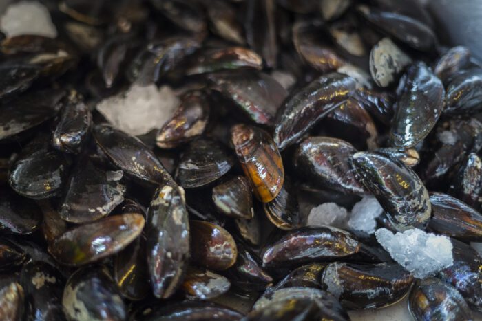 cozze spagnole richiamate allerta ministero salute