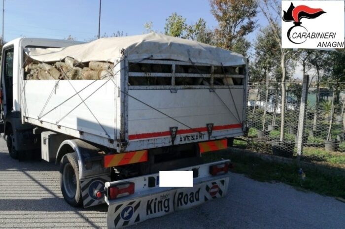 Frosinone, truffa “della legna da ardere”: 2 denunce e sequestrato un furgone