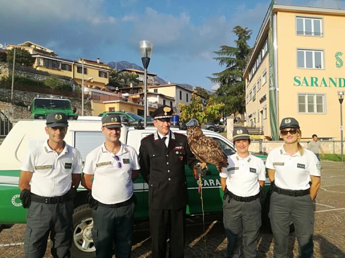 Collepardo, rimessi in libertà i rapaci curati a Fulignano