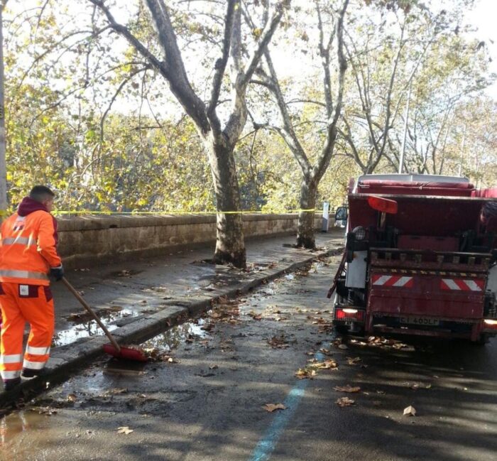 Lungotevere, strada impraticabile a causa del guano degli uccelli