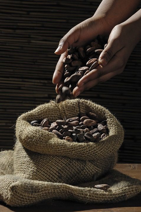 Sfatato un falso mito: il cacao riduce la diarrea e fa diventare più intelligenti