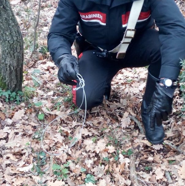 Bracciano, cacciava di frodo nella Riserva di Monterano. Inchiodato dai Carabinieri