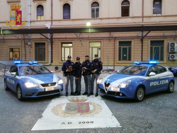 Torrenova, cuccioli abbandonati in strada adottati da un agente della Polizia