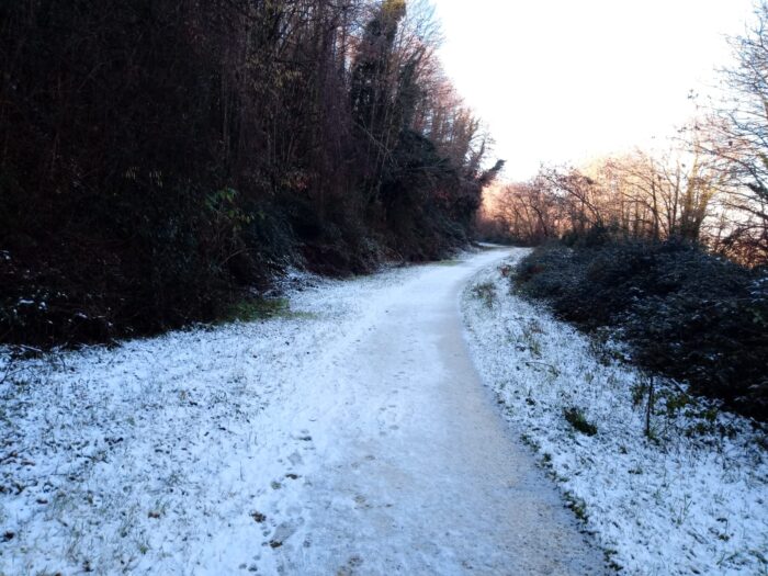 Neve a basse quote in arrivo: ecco quando bisognerà stare attenti!