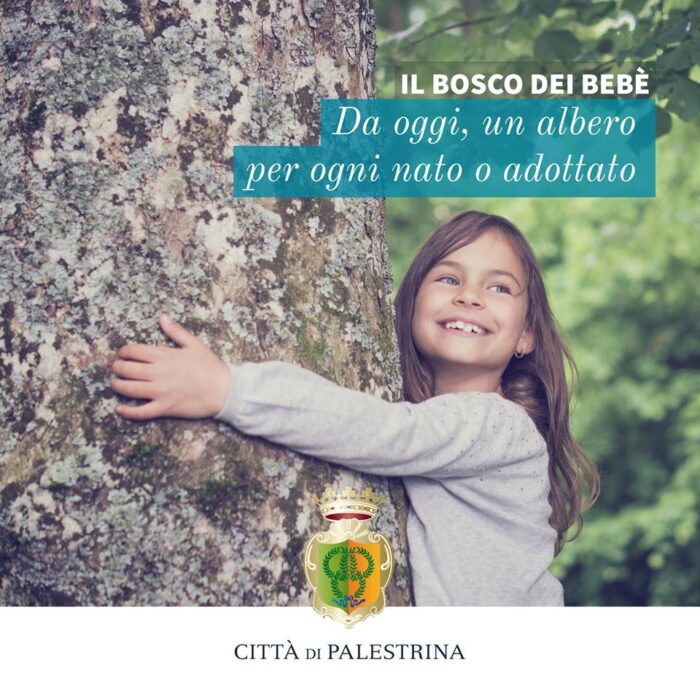 Palestrina, Bosco dei bebè: da oggi la città sarà più green e vivibile anche per le nuove generazioni