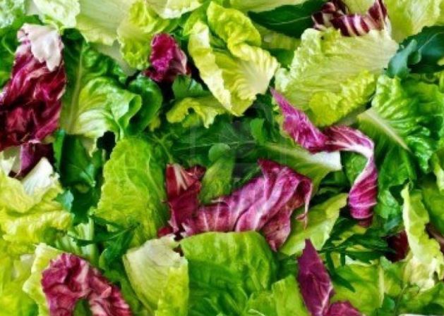 Allerta RASFF: ritirato lotto di insalata in busta in Italia
