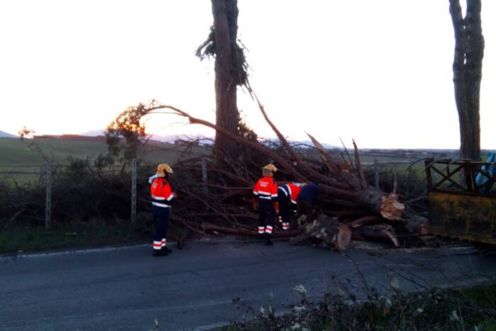 paliano danni raffiche di vento