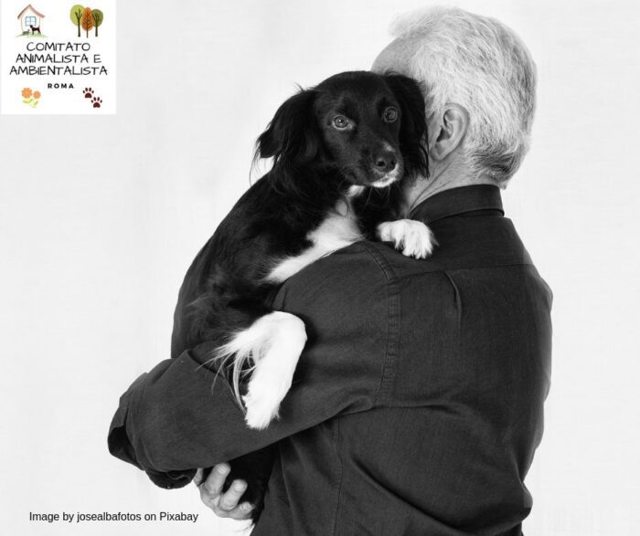 Comitato Animalista e Ambientalista Roma anziani animali