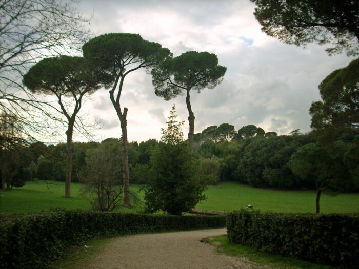 Roma, cagnolina si perde nel giorno di Pasqua a Villa Ada e finisce in una scarpata: ecco come sta