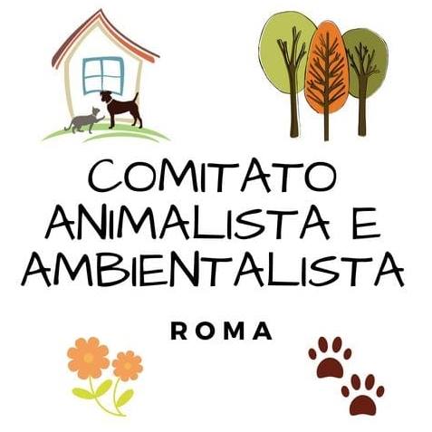 Roma, Consiglio Straordinario del 20 giugno per parlare dei canili Muratella e Ponte Marconi: il Comitato Animalista e Ambientalista invita a partecipare