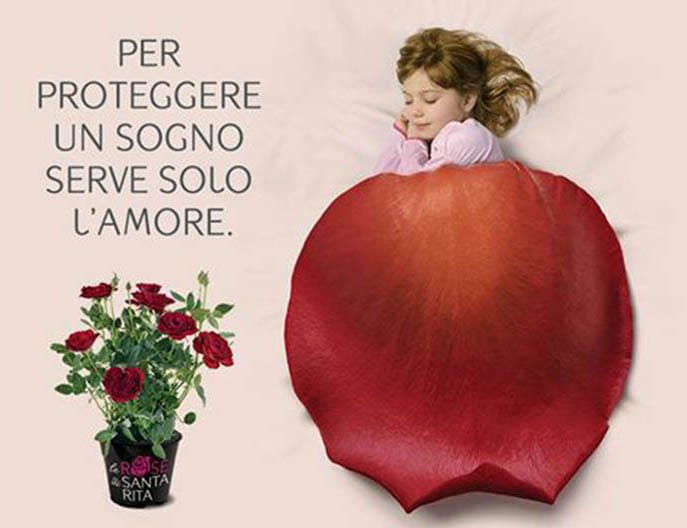 lariano 4 5 maggio rose santa rita