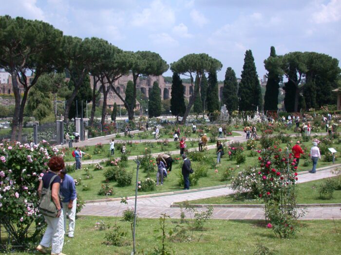 Roma, boom di presenze al Roseto Comunale: prorogata l'apertura per il prossimo week end