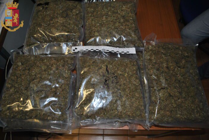 Cerveteri, nascondeva 12 kg di marijuana e oltre 2mila euro: arrestato 42enne