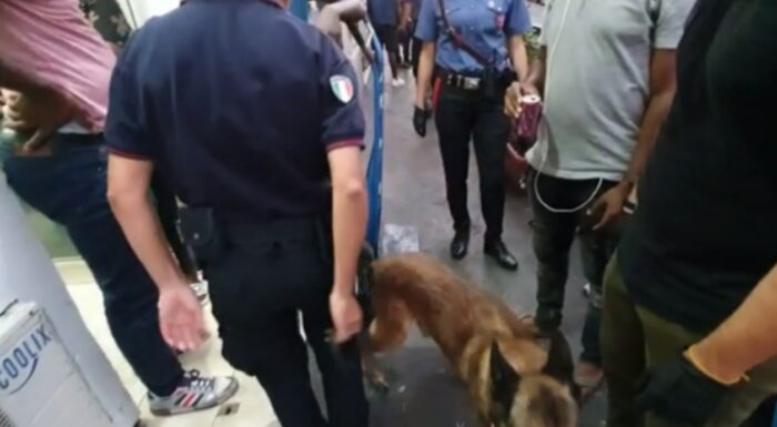 termini arresti denunce sanzioni