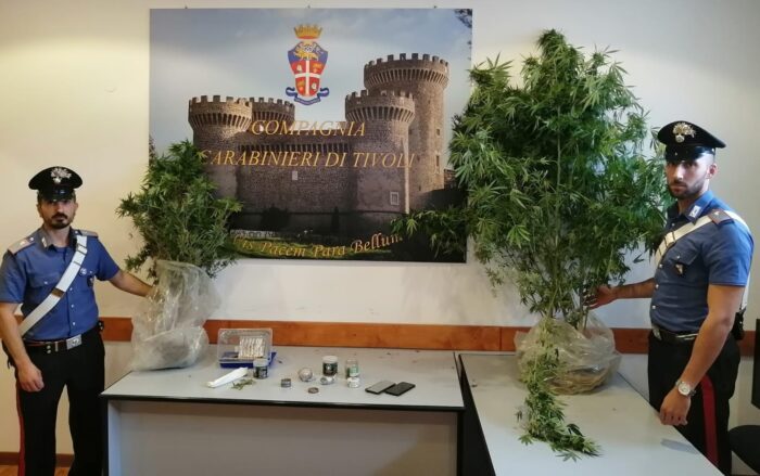 roma via di salone piante cannabis
