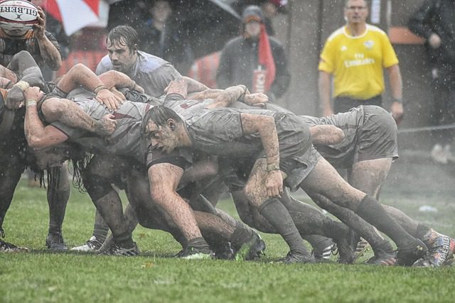 azzurri rugby mondiale