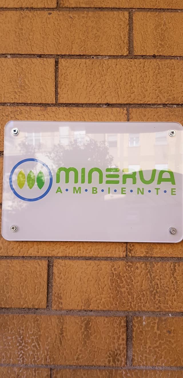 m5s segni minerva