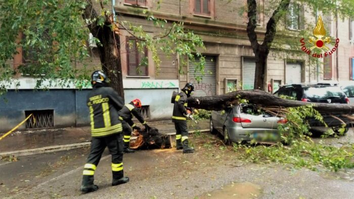 Roma provincia alberi caduti frane allagamenti acqua appartamenti oggi domenica 17 novembre 2019