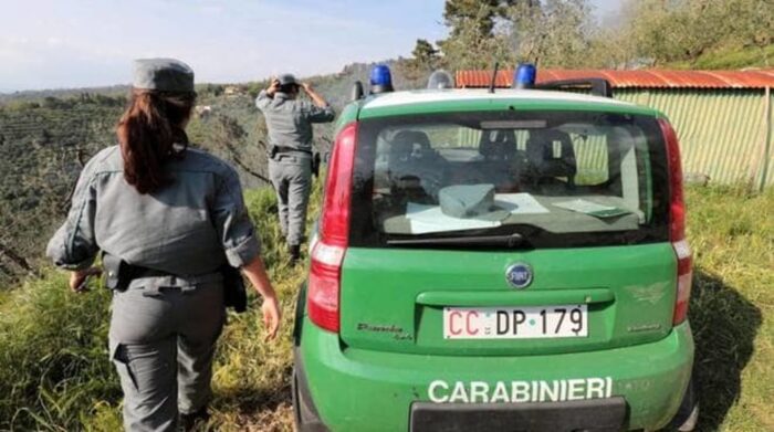 Befana della Biodiversità Carabinieri Forestali 6 gennaio 2020 strutture ospedaliere accoglienza Italia