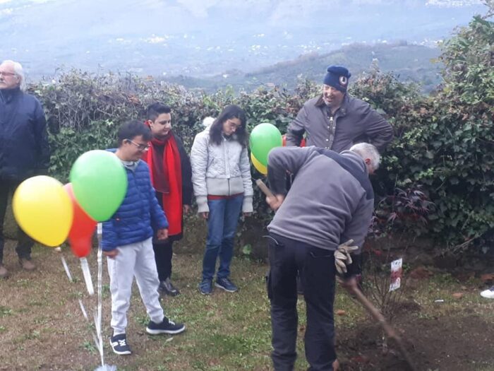 Paliano giornata mondiale della disabilità