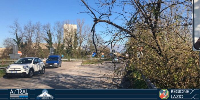 ceccano asse attrezzato albero in strada oggi 4 dicembre 2019