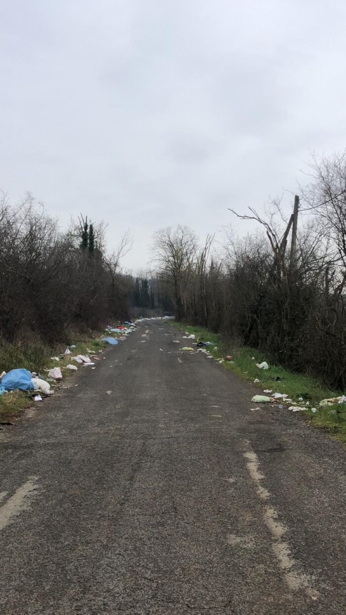 Ambrosetti (FdI): "La Provincia pulirà a giorni i rifiuti sulla strada provinciale Anagni-Paliano e il Comune installerà fototrappole